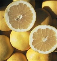pompelmo, fonte di naringina/naringenina