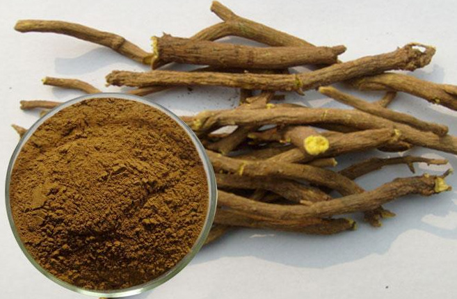 L'estratto di Scutellaria baicalensis inibisce il legame tra DHT e recettore AR e la traslocazione nel nucleo