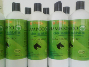 Champù de caballo rimedio anticalvizie